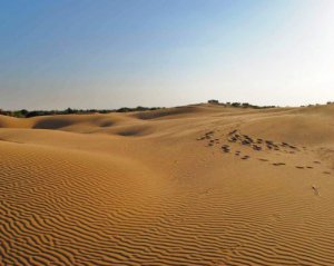 Глобальне потепління призведе до того, що пустелях ітимуть дощі  - вчені