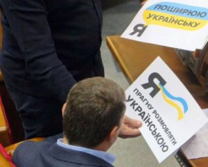 Законопроект про мову затягнеться до виборів - нардеп