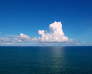 За 20 років на планеті не стане одного океану