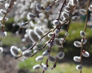 Синоптики рассказали, где ждать весеннего тепла
