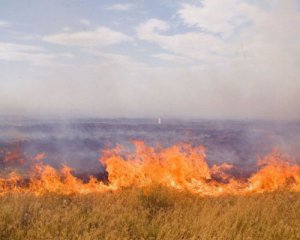 Під Києвом горять сухі поля