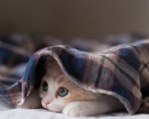 "Морози повернулися", - якої погоди чекати українцям