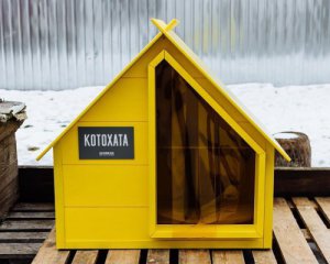 У Києві встановлять будинки для безпритульних котів