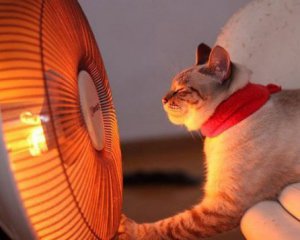 В Україну йде тепло до +20