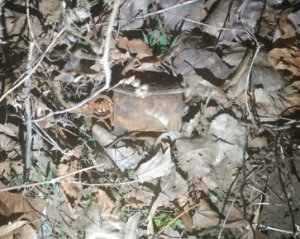 Ручну гранату знайшли на трасі Узин - Біла Церква