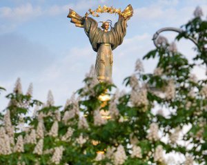 Каштаны в центре Киева заменят другими деревьями