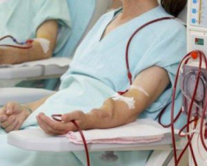 Невозможное возможно: овца стала донором для человека