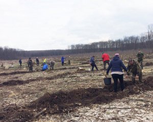 В честь погибшего участника АТО высадили 5 тысяч дубов