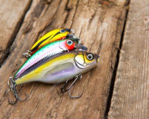 З понеділка набирає чинності нерестова заборона