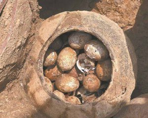 В гробнице знатной семьи нашли кувшин с яйцами
