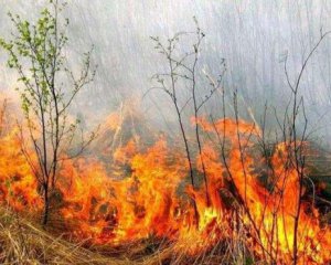 Сжигание сухой травы: появились первые жертвы