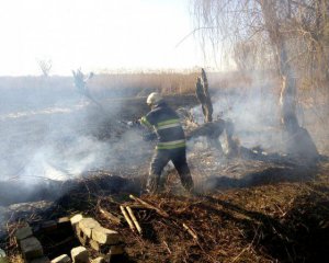 За добу 24 пожежі — вогнеборці просять не палити суху траву