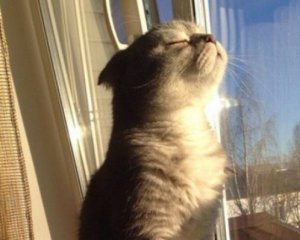 Сообщили, когда в Киеве отключат отопление