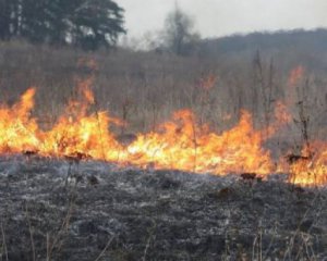 Жертви спалювання  сухої трави: подружжя згоріло живцем