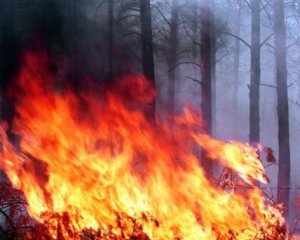 На Черниговщине горело 40 га парка