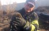 Пожежники врятували їжачка від смерті