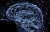 Науковці омолодили мозок людини на 50 років