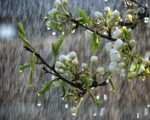 Які області заллють дощі: синоптики дали прогноз на понеділок