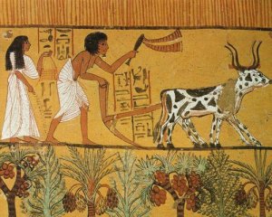 Историки разгадали тайну женщин Древнего Египта
