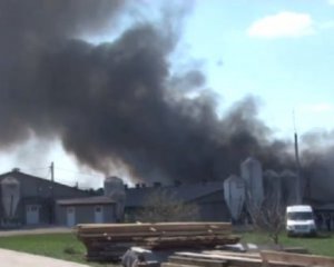 В пожаре на ферме погибли 500 животных