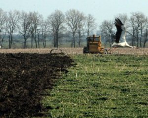 Депутати не погодили виділення землі атовцям