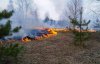 Рятувальники гасять масштабну лісову пожежу