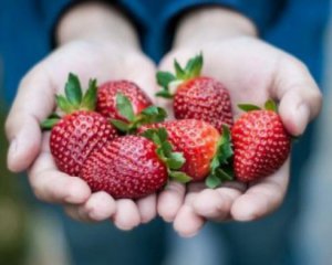 Перша полуниця: скільки коштує рання ягода
