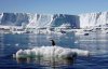Вчені заявили про швидке танення найбільшого льодовика