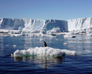 Ученые заявили о быстром таянии самого большого ледника