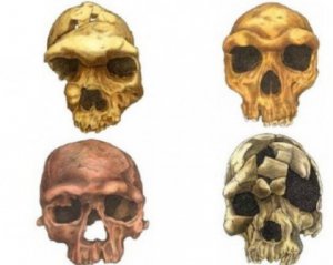 Вчені пояснили еволюцію зміни людського обличчя