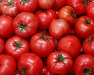 В Украину завезли зараженные помидоры