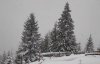 Некалендарная зима: карпатские перевалы засыпает снегом