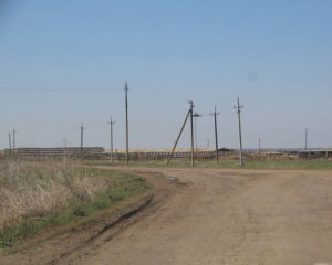 У районі закривають молочні ферми - розповіли причини