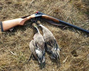 Під Полтавою незаконно відстрілювали птахів