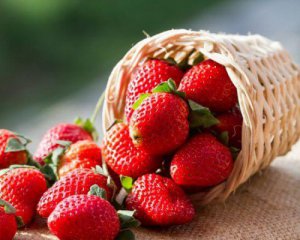 Сезон полуниці: скільки коштує вітчизняна ягода