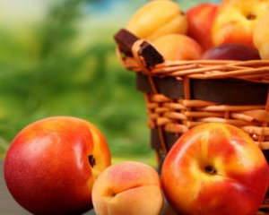 Как изменилась стоимость импортных абрикосов и персиков за год