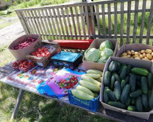 Сільрада vs місцевий бізнес — у Тахтауловому не дозволили продавати овочі за ринковою ціною
