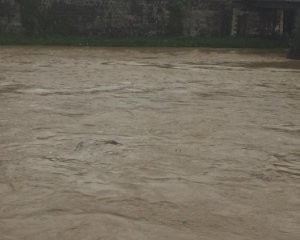 Первая жертва наводнения в Закарпатье: ищут 11-летнего школьника, которого унесло течением