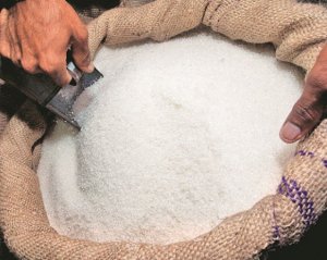 Вибори стартували з "засівання" округів цукром і ліками