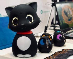 Китайцы разработали уникального робота-кота