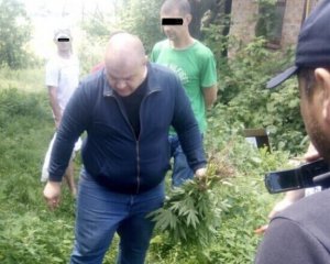 У Білоцерківському районі поліція вилучила насадження конопель