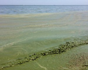 От купания в море в Одесской области советуют воздержаться