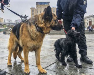 &quot;Заминированный&quot; Киев: сколько шутников поймала полиция