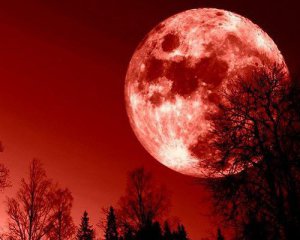 Сонячне затемнення уже близько: як пережити його без втрат