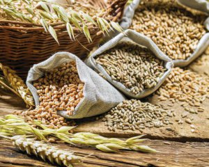 Украина продала рекордное количество зерна