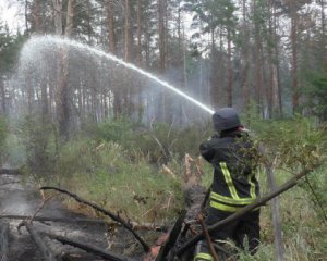 Пожар в заминированном лесу: сообщили последние новости