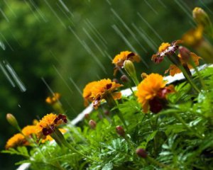 Погода розділить Україну: де вжарить, а де дощитиме