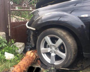 П'яний задавив 11-річну дівчинку