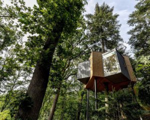 Сколько стоит номер в отеле на дереве