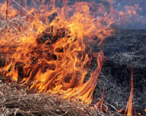 МОЗ пропонує заборонити спалювати листя і посипати дороги сіллю